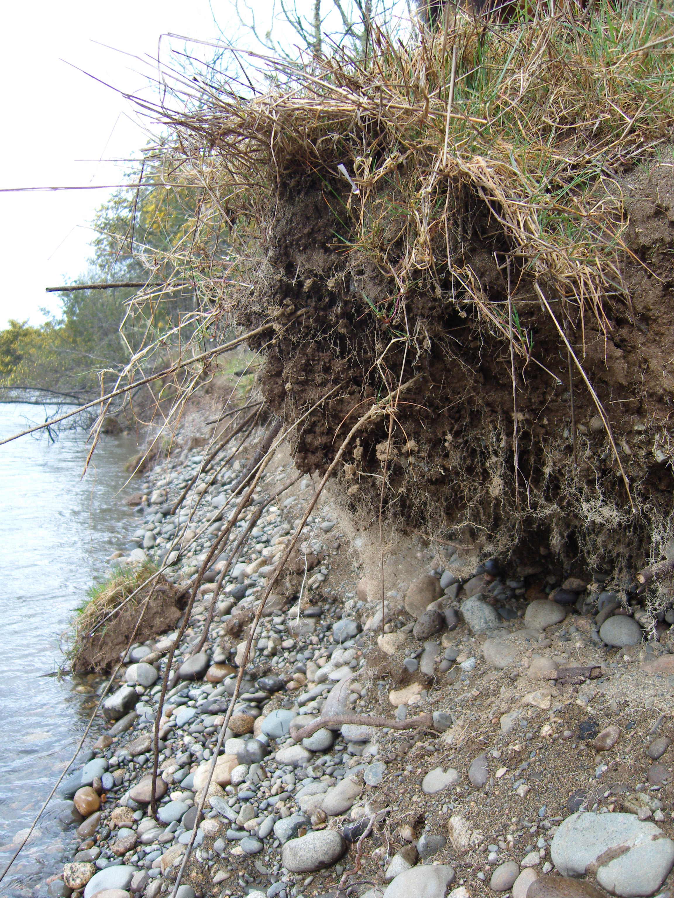 SAMSUNG DIGITAL CAMERA