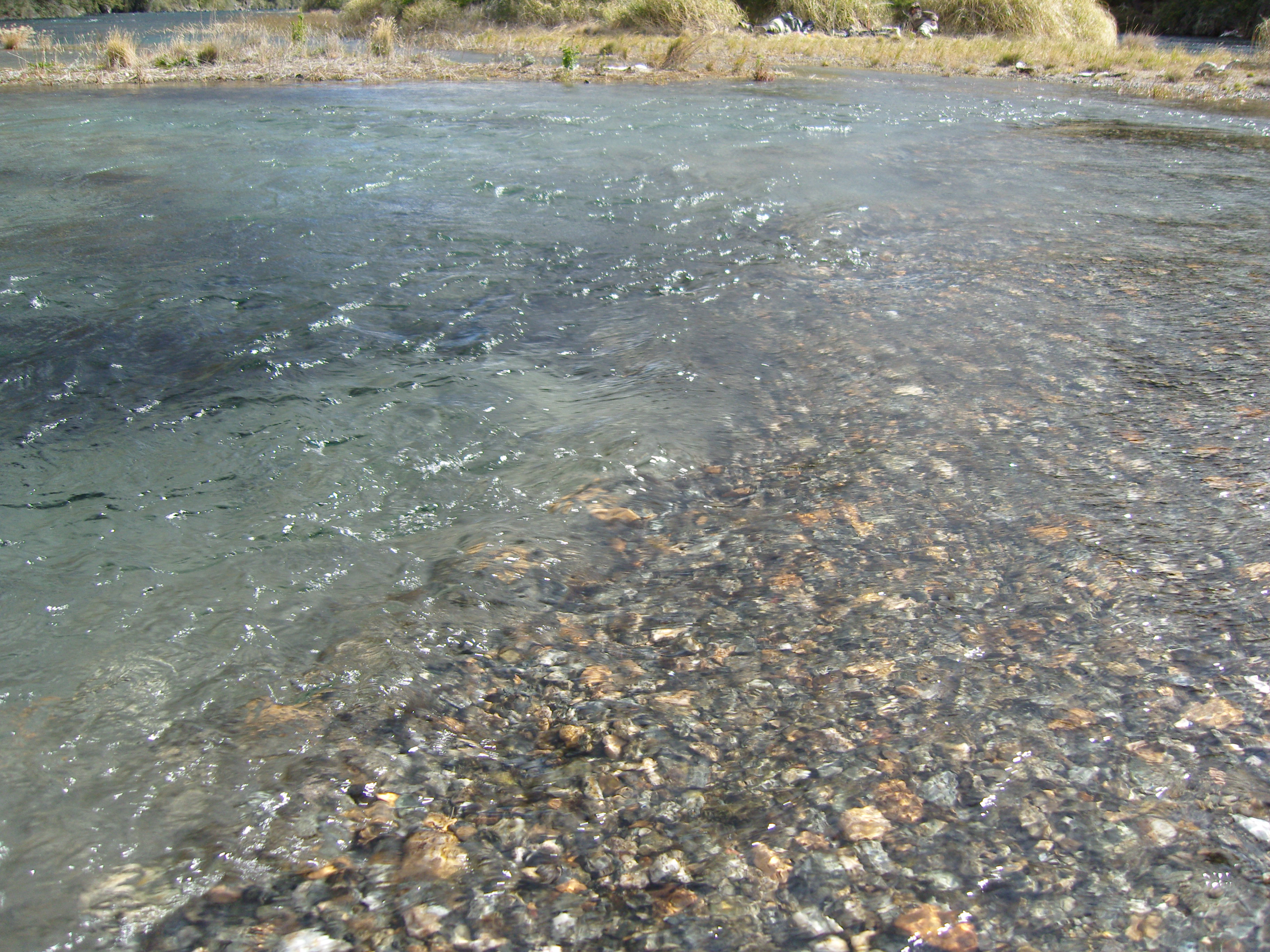 SAMSUNG DIGITAL CAMERA