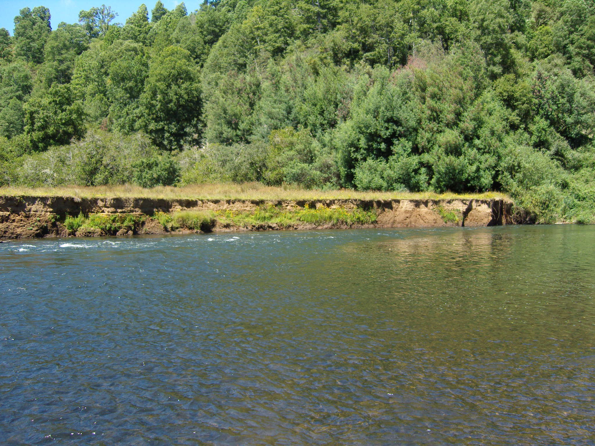 SAMSUNG DIGITAL CAMERA