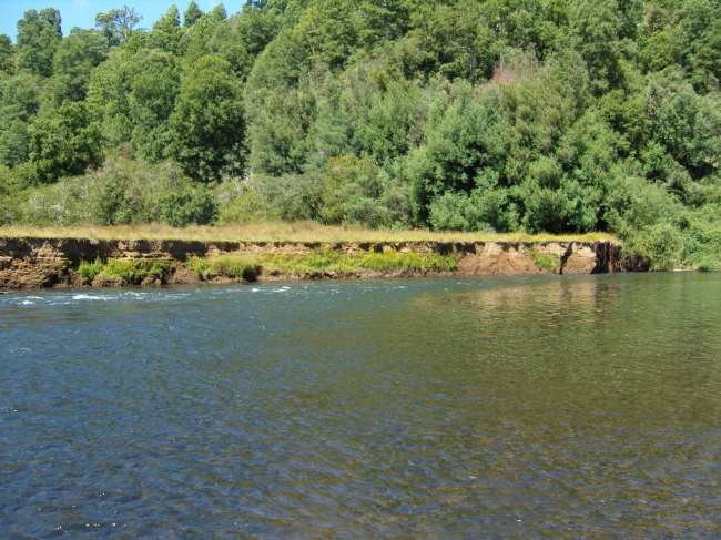 SAMSUNG DIGITAL CAMERA