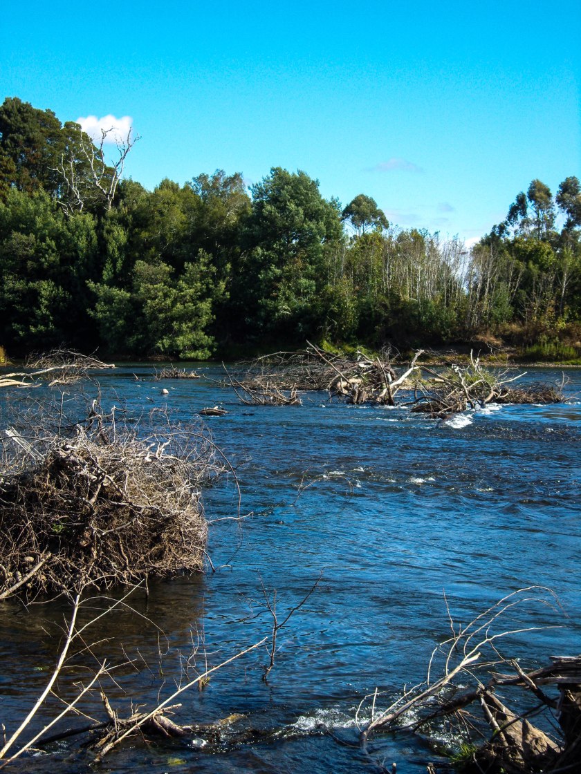 SAMSUNG DIGITAL CAMERA