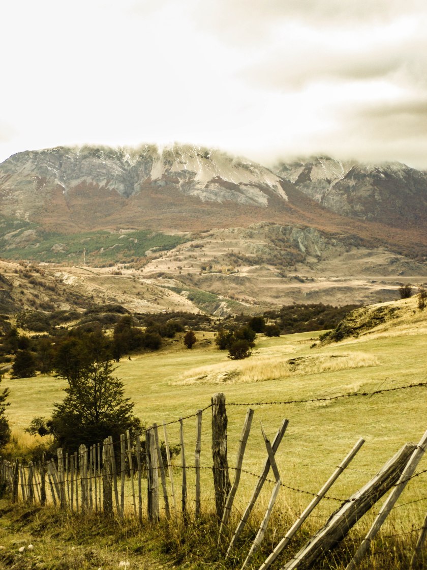 El Gato Twitter Instagram-0689