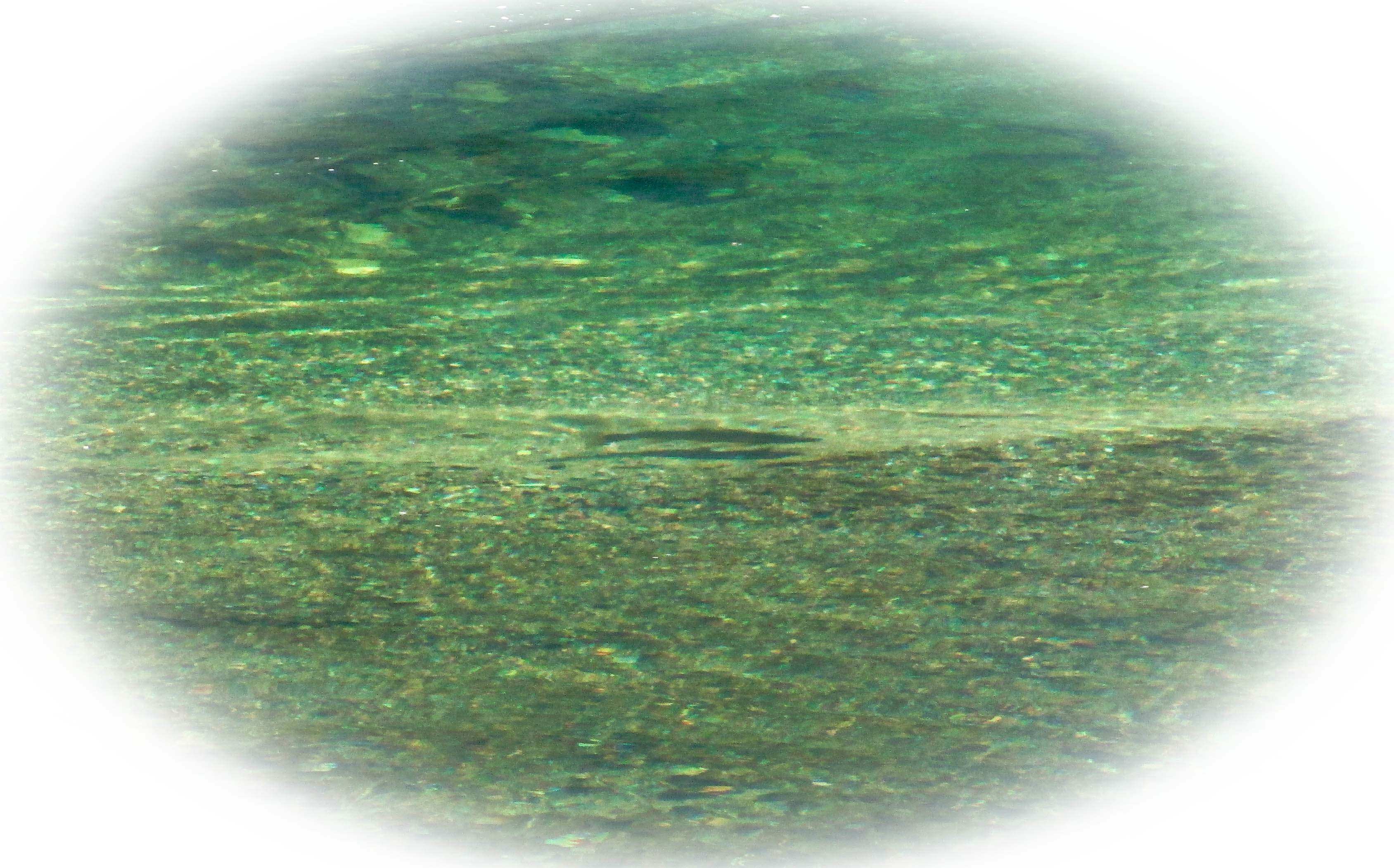 Esperando Dropoff Twitter Instagram-0733