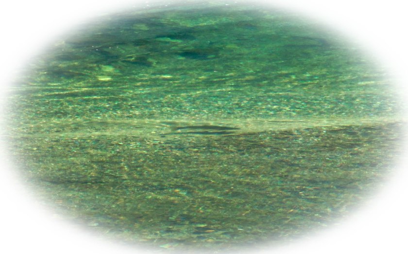 Esperando Dropoff Twitter Instagram-0733