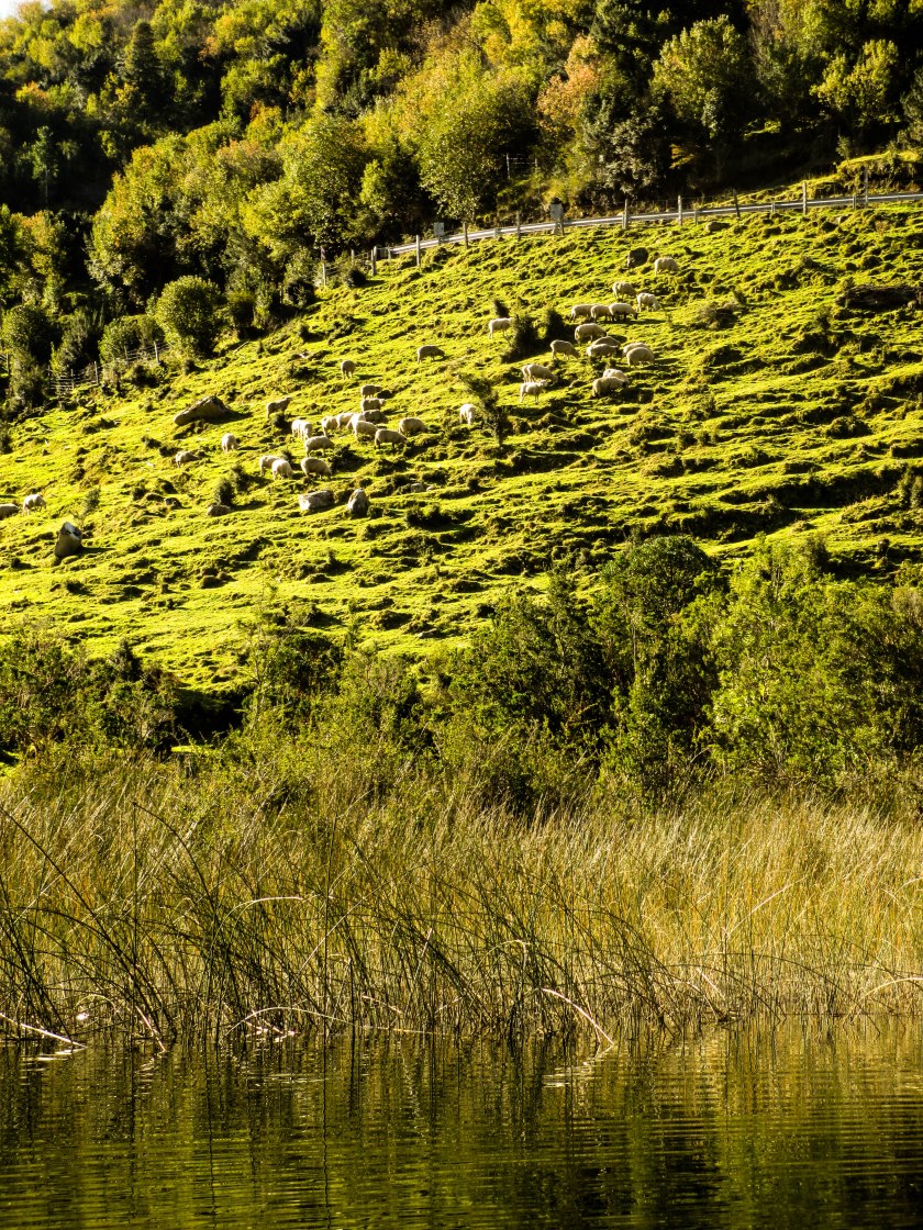 Portales Twitter Instagram-0747