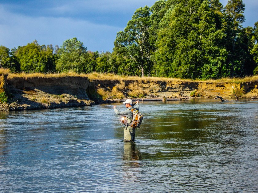 SAMSUNG DIGITAL CAMERA