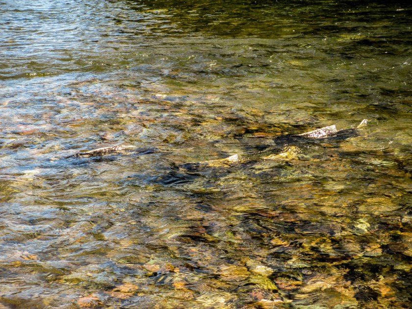 Ultimo Nado Twitter Instagram-0719