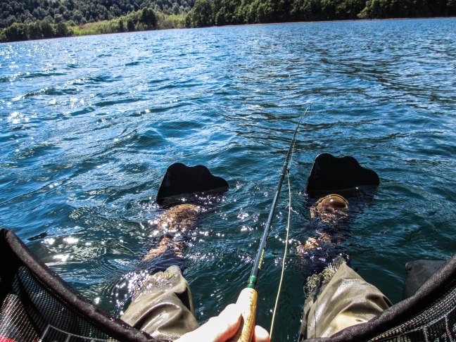 Flotando Twitter Instagram-0645