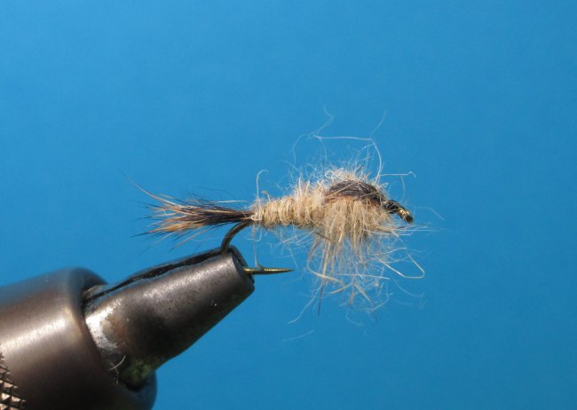 Gold Ribbed Hare´s Ear RECETAS-1021