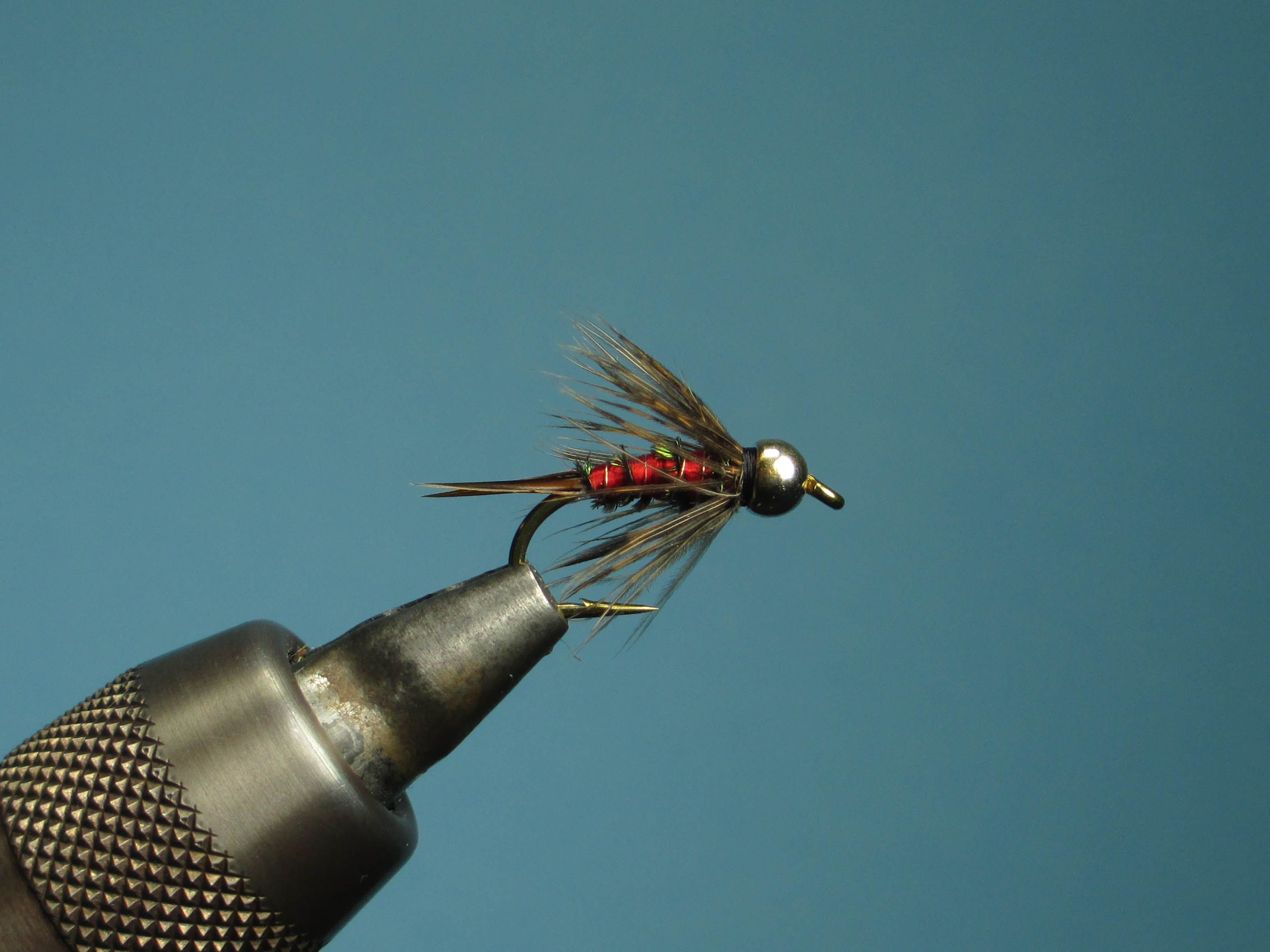 Bloody Mary Recetas-1083