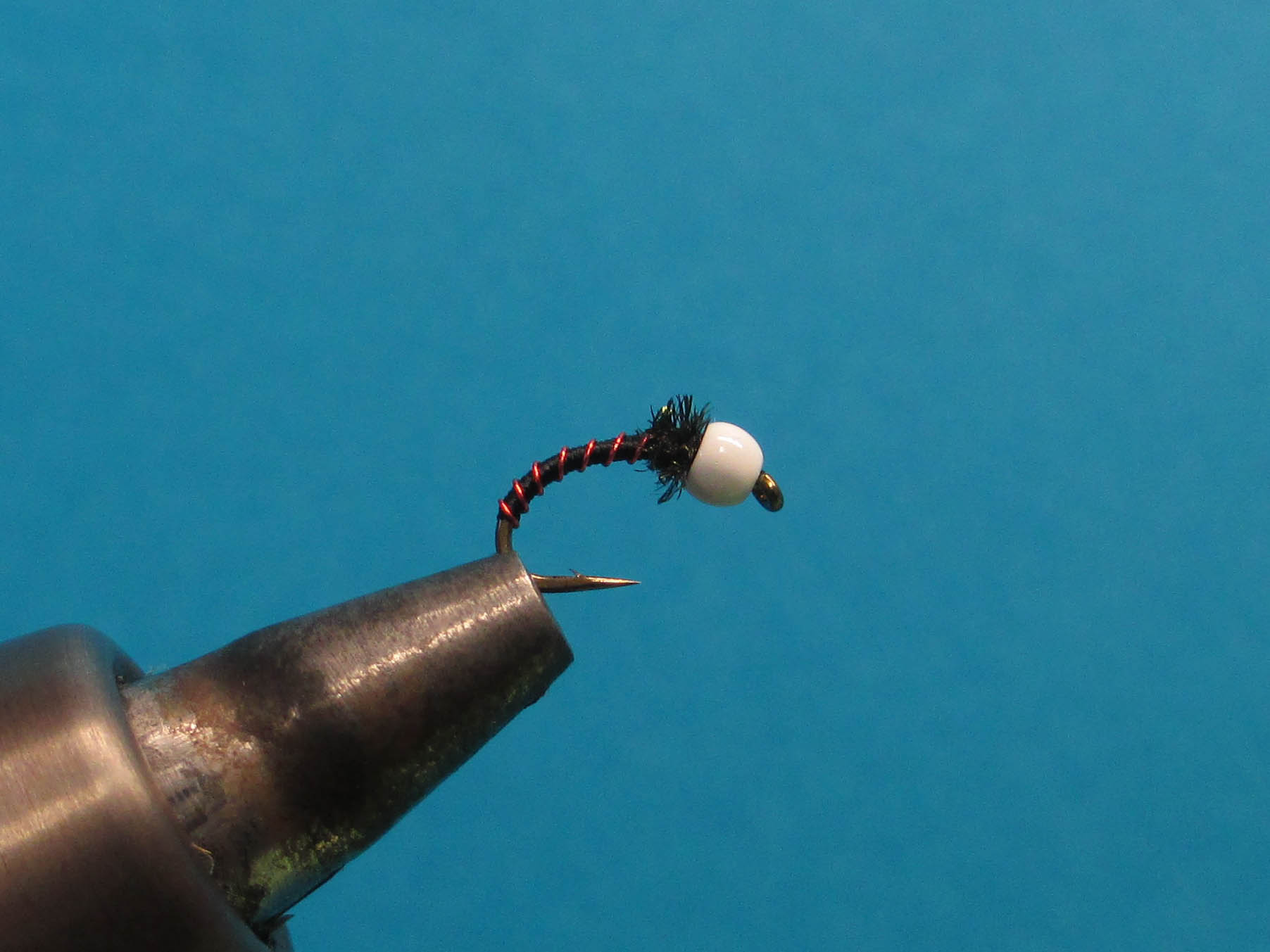 Snocone Recetas-1070