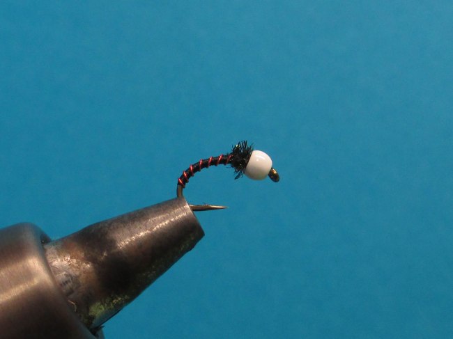 Snocone Recetas-1070