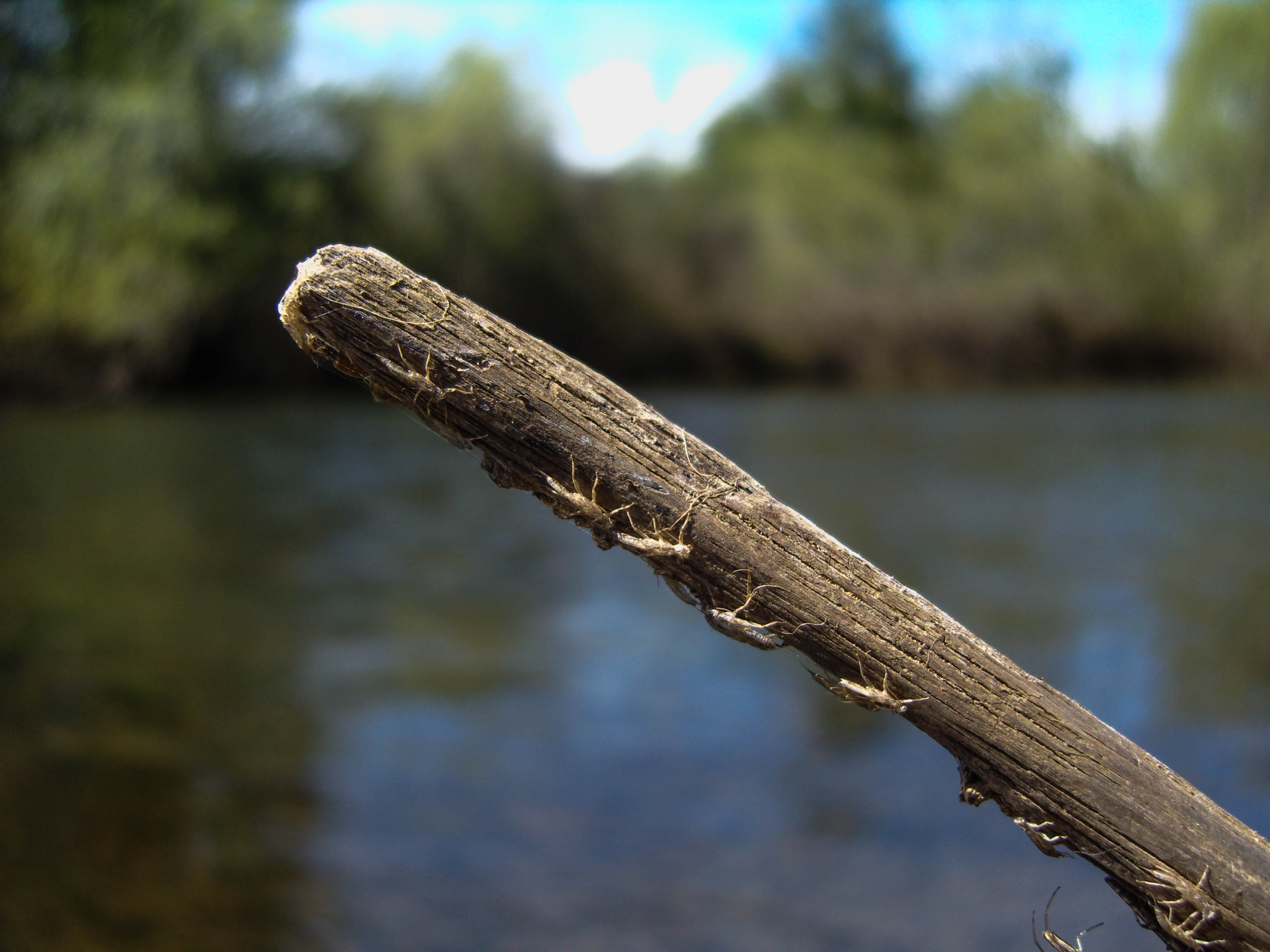 SAMSUNG DIGITAL CAMERA