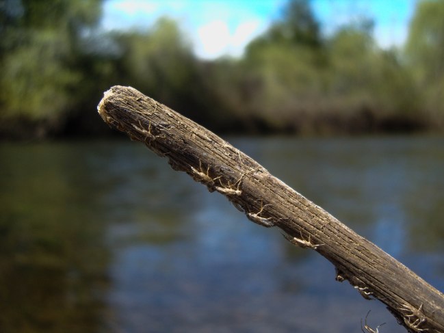 SAMSUNG DIGITAL CAMERA