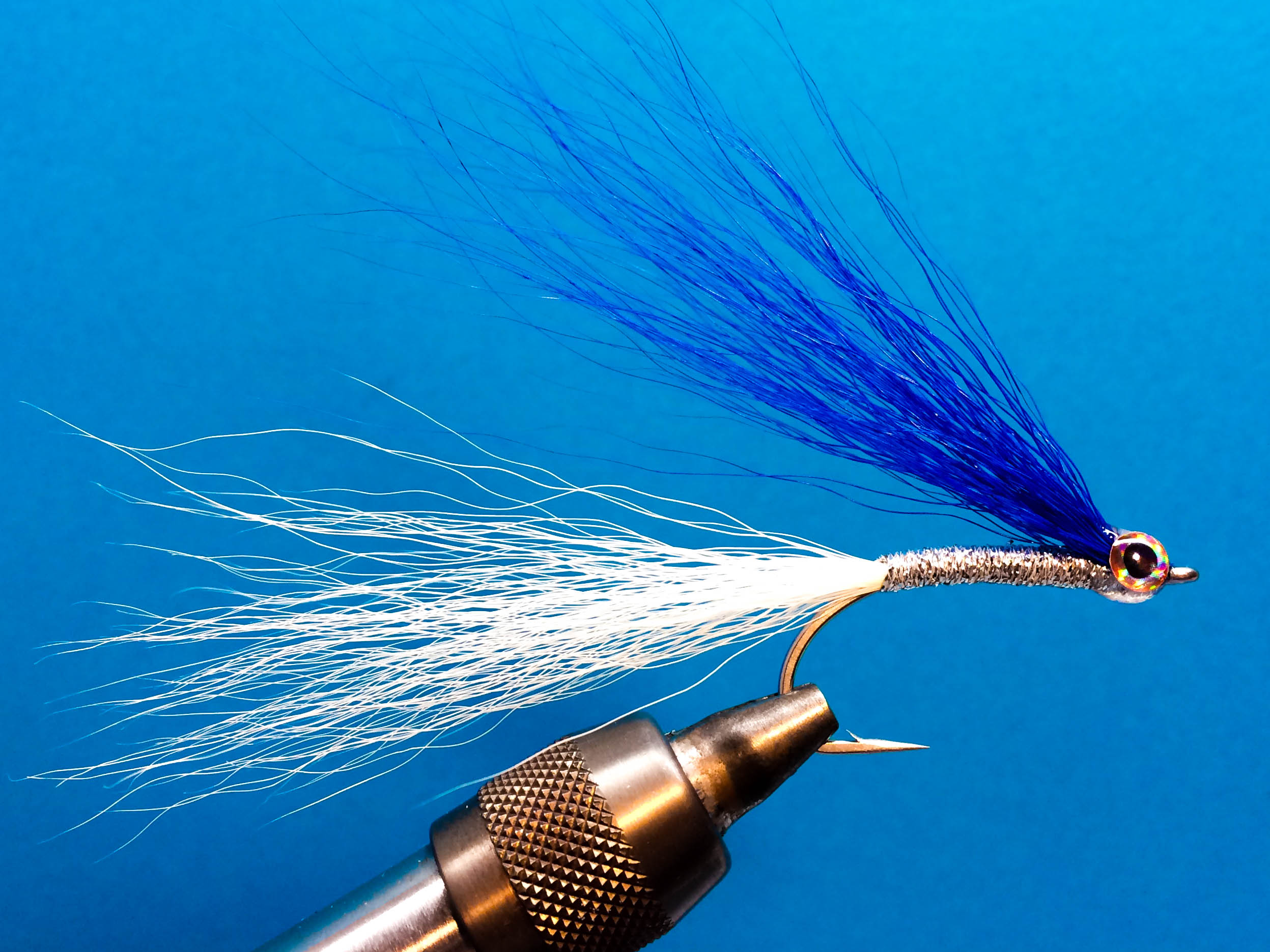 Argentine Blonde-6429