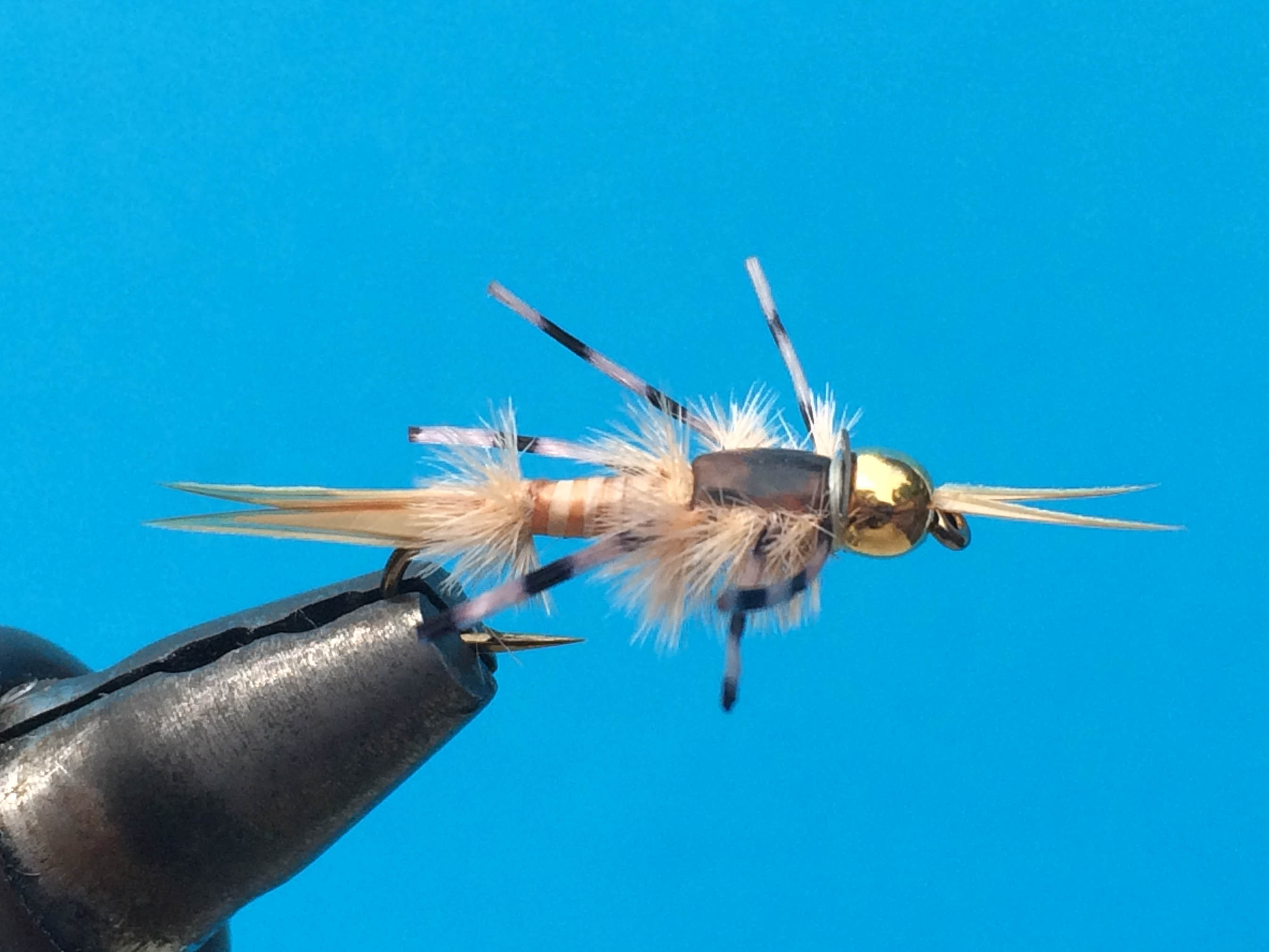 Baby Golden Stone-7379