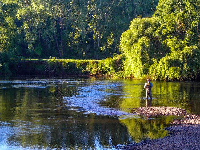 Rio Cruces Angler-0229
