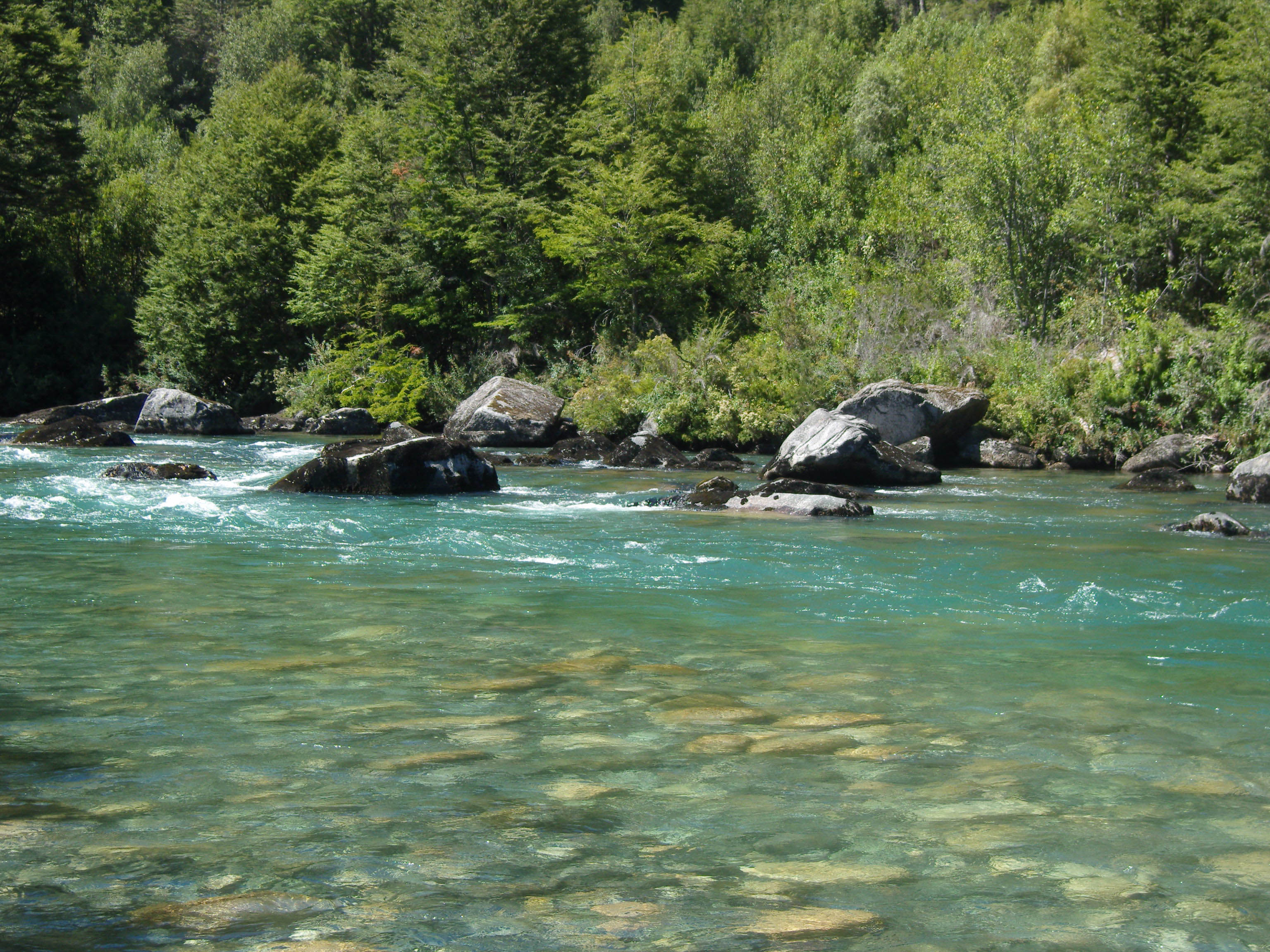 SAMSUNG DIGITAL CAMERA