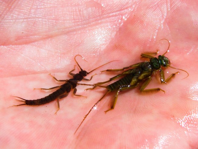 SAMSUNG DIGITAL CAMERA