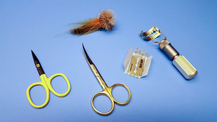 Foto Grupal Recorte Ciervo