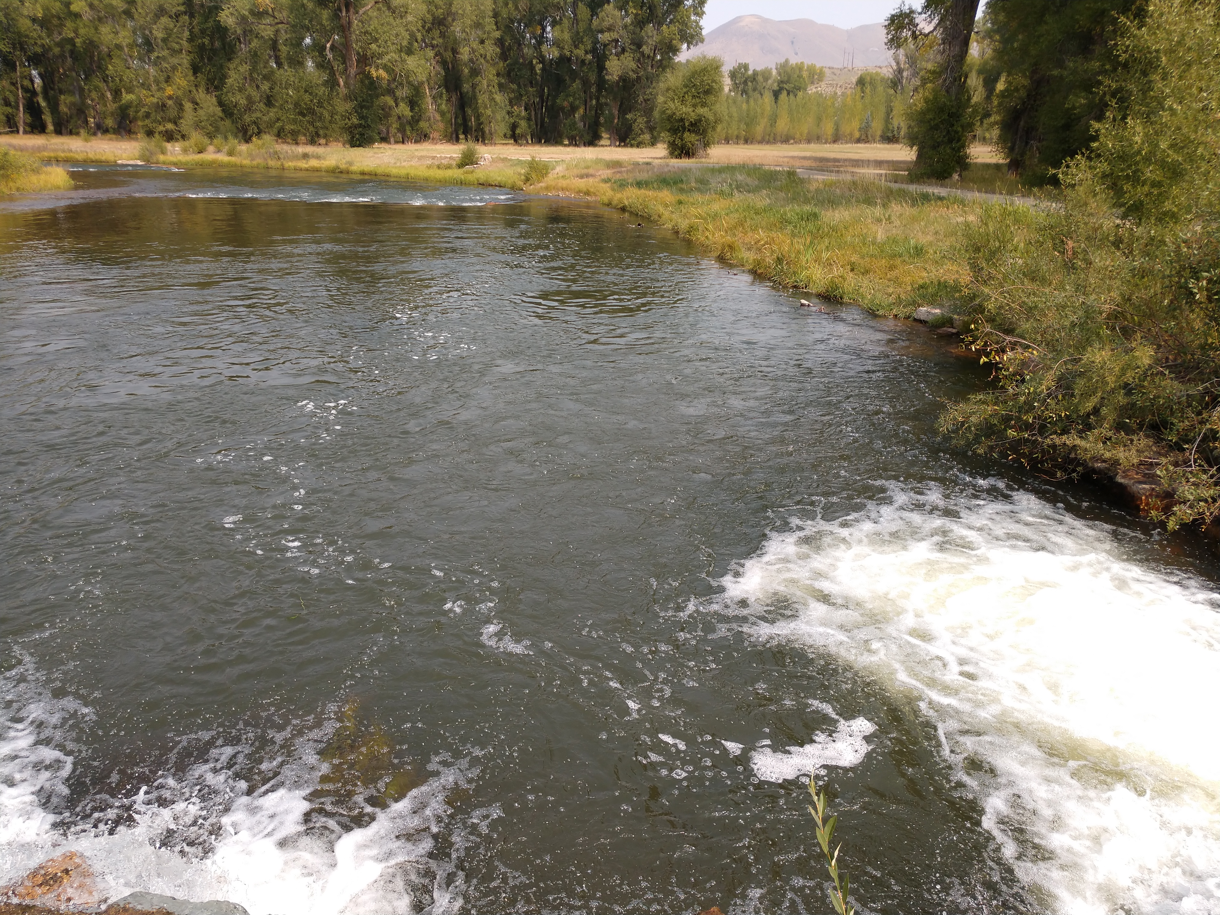 IMG_20200907_115032194_MP