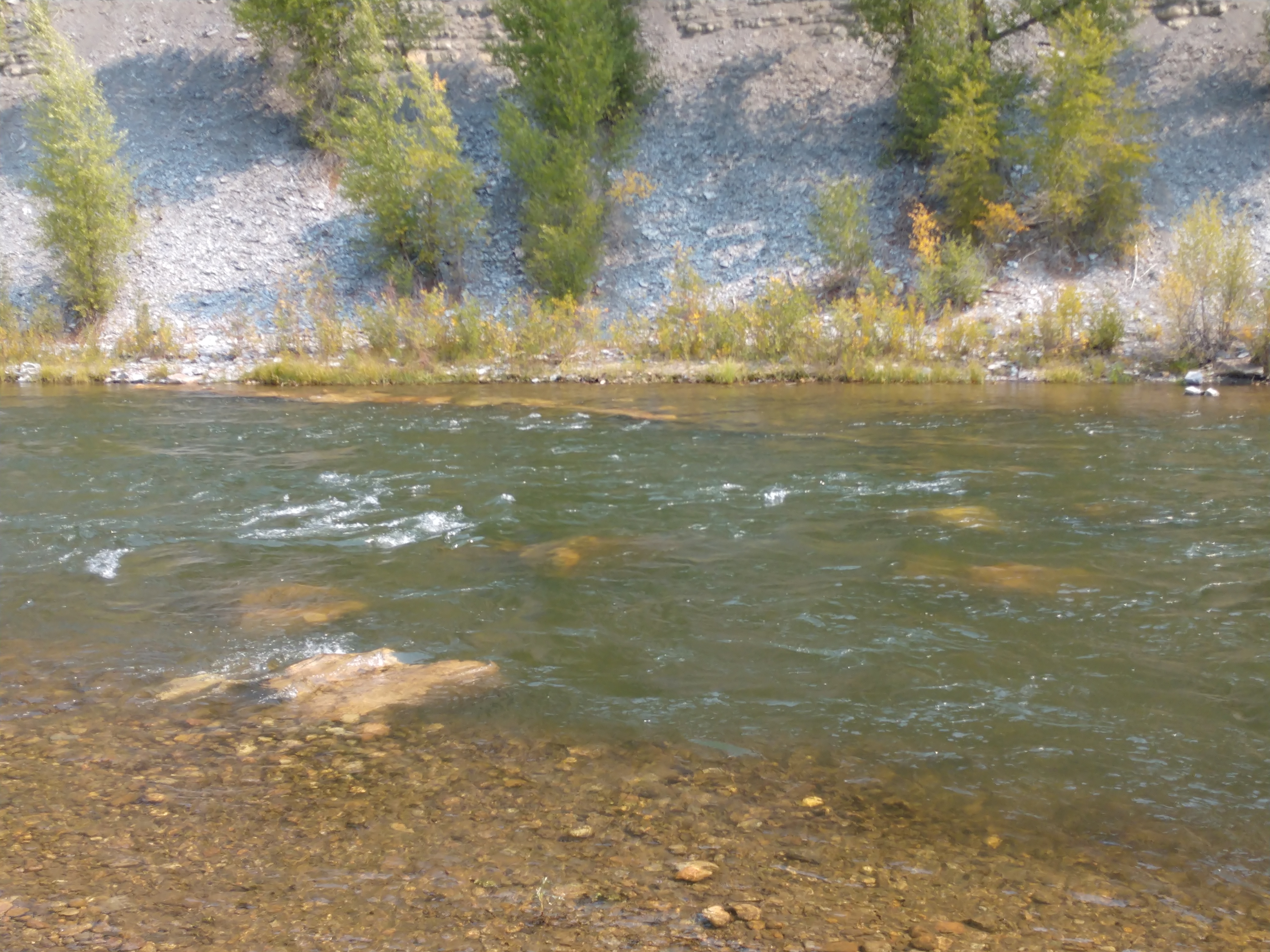 IMG_20200907_122600576_MP